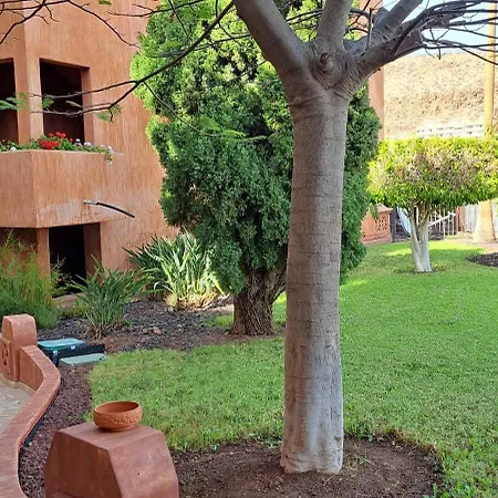 شقة Casa Karolina